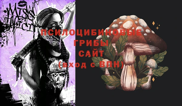 дживик Богданович